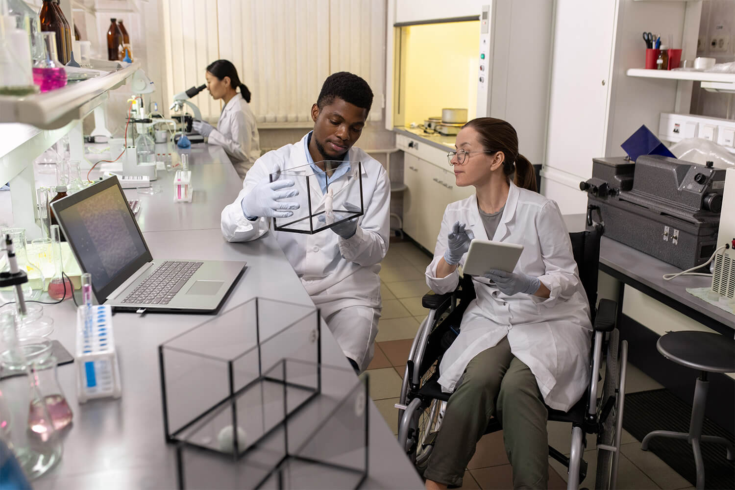 Decoding Animal Health: Bioinformatics in Disease Understanding