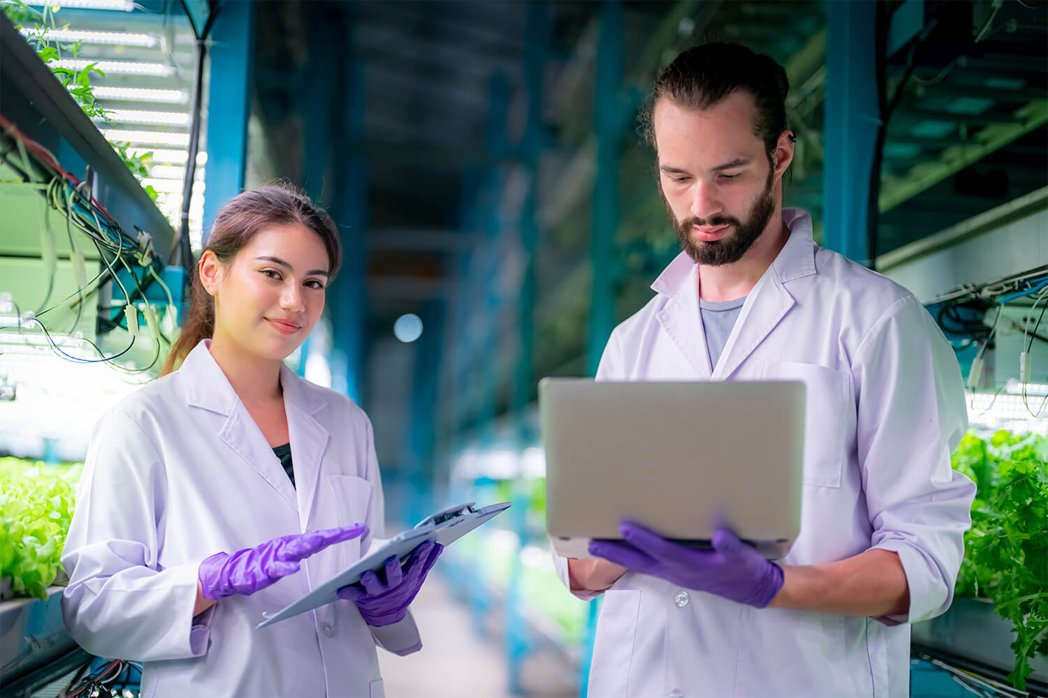 : Green Energy Solutions: Leveraging Bioinformatics for Biofuel Development